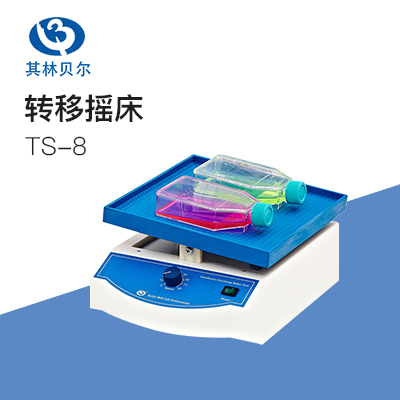 其林貝爾TS-8型轉移脫色搖床實驗室搖床振蕩器混勻儀振蕩混勻臺式小型